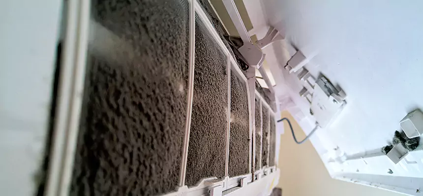 Preventive Air Duct Bacteria Removal in Texas City