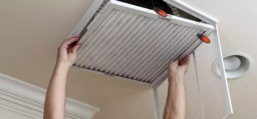 Our Insect Removal from Air Ducts Services in Texas City, TX