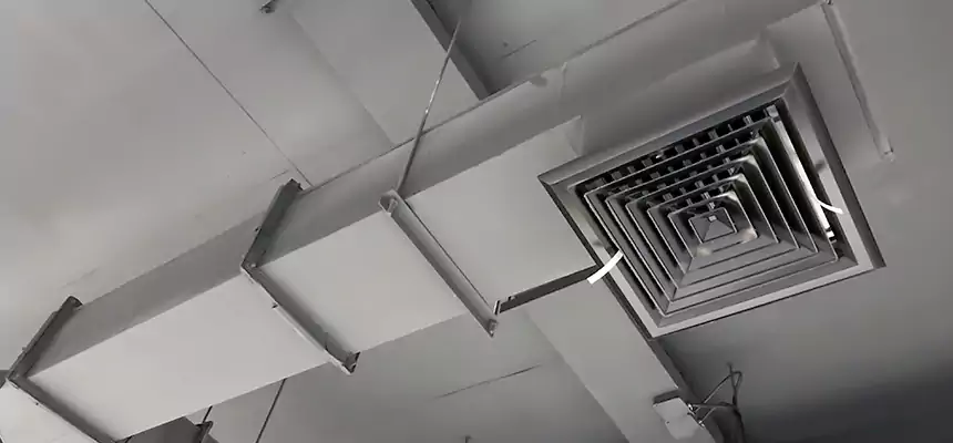 Our Rodent Droppings In Vents Services in Texas City, TX