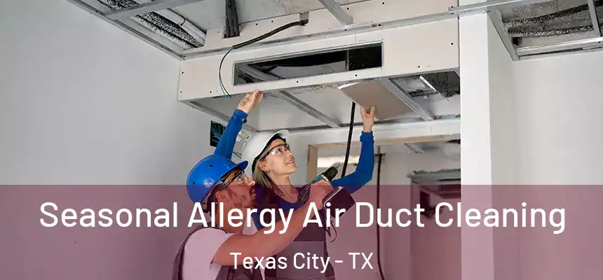  Seasonal Allergy Air Duct Cleaning Texas City - TX