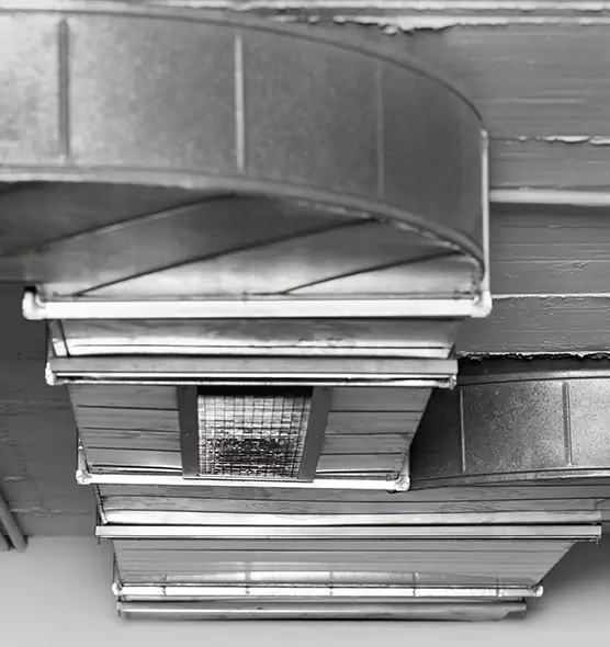 Professional Air Duct Pet Hair Removal in Texas City, TX