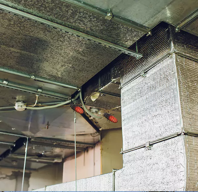 Why Homeowners & Businesses Trust Us Texas City, TX?